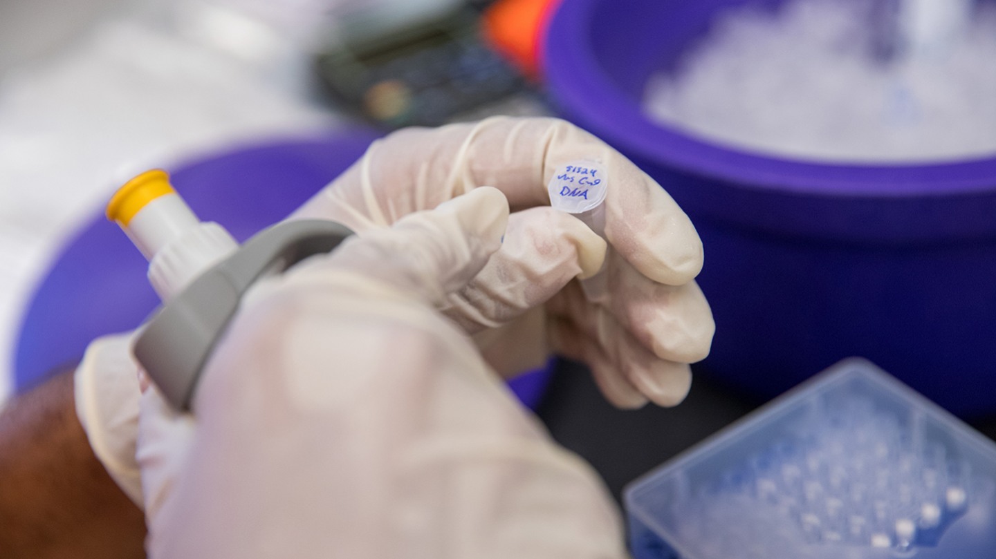 Research Program in Liberal Medical Education Medical School Brown University